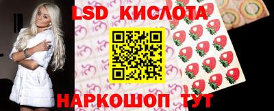 крисы Пенза