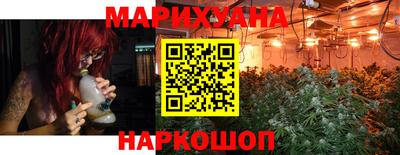 крисы Пенза